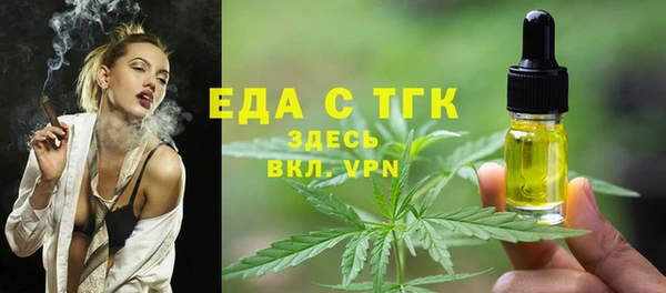 индика Аркадак