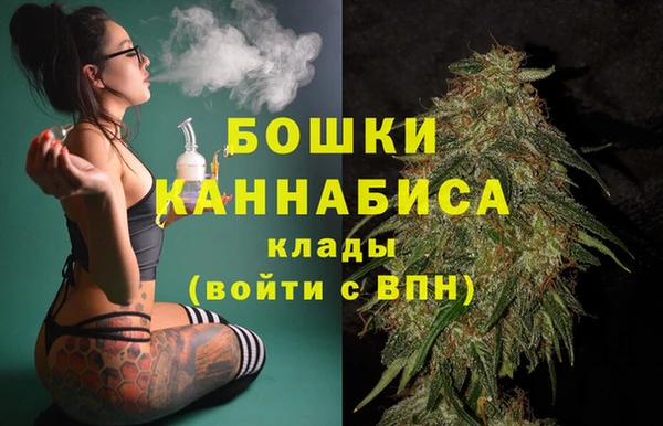 индика Аркадак