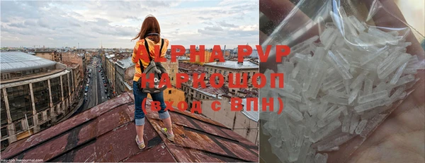 индика Аркадак