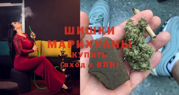 индика Аркадак