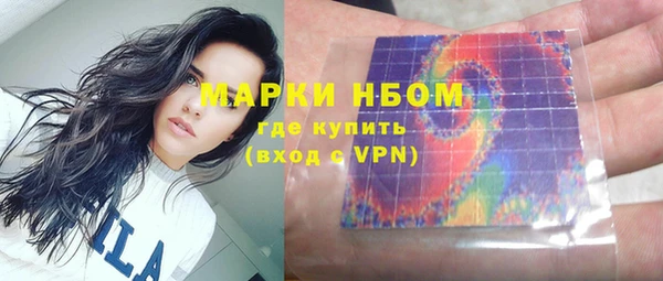 индика Аркадак